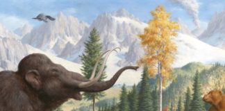 CANTO YO Y LA MONTAÑA BAILA