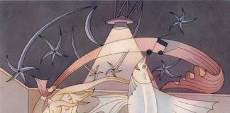 Constancia de imágenes y pesquisas